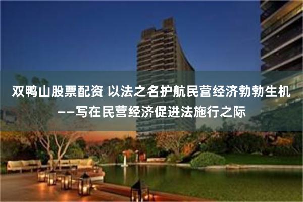 双鸭山股票配资 以法之名护航民营经济勃勃生机——写在民营经济促进法施行之际