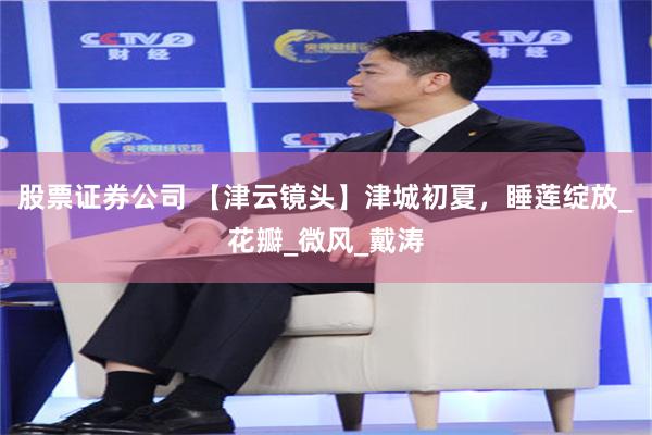 股票证券公司 【津云镜头】津城初夏，睡莲绽放_花瓣_微风_戴涛