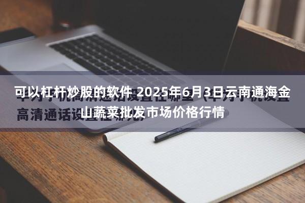 可以杠杆炒股的软件 2025年6月3日云南通海金山蔬菜批发市场价格行情