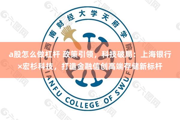a股怎么做杠杆 政策引领，科技破局：上海银行×宏杉科技，打造金融信创高端存储新标杆