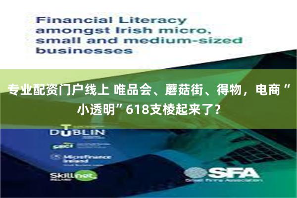 专业配资门户线上 唯品会、蘑菇街、得物，电商“小透明”618支棱起来了？