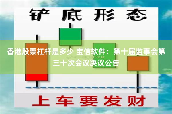 香港股票杠杆是多少 宝信软件：第十届监事会第三十次会议决议公告